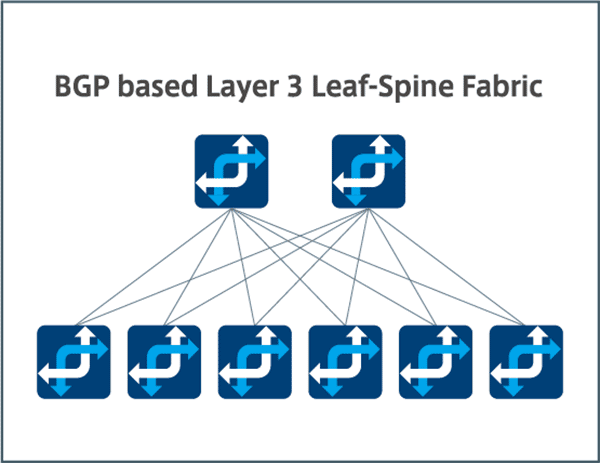 BGP based Layer 3 Leaf-Spine Fablic